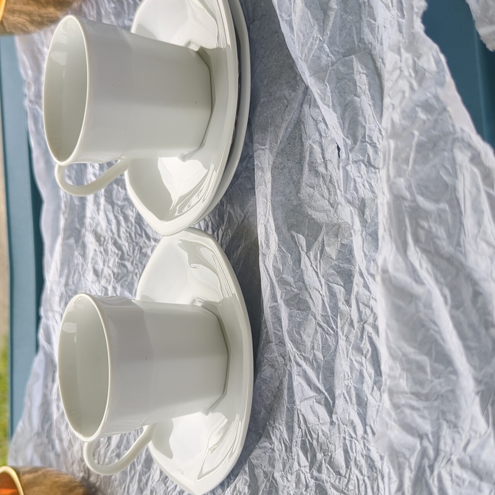 Studio Nova by Maison Blanche Set of 2‎ Cups and saucers
